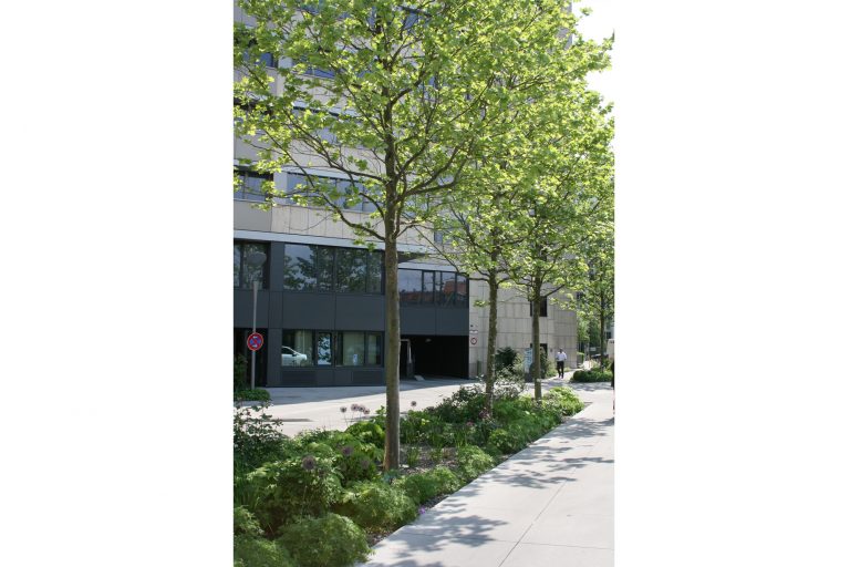 Kustermannpark